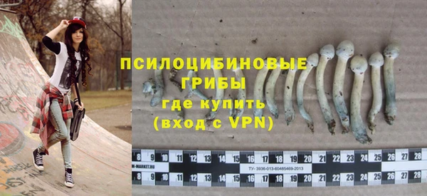 соль ск Медвежьегорск