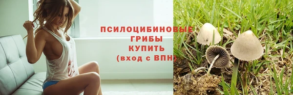 марихуана Медногорск